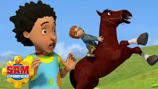 Cavallo in fuga | Sam il Pompiere | Episodi completi | Cartoni animati