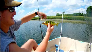 Catching Perch in Iowa!?!?!