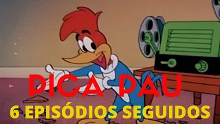 Pica-Pau em Português | Meio-Dia Quente | Desenhos Animados - [ASSISTA EM 2021]