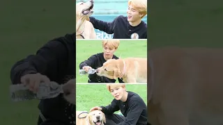 Why Jimin Can't have Pets?? Reason behind it! #shorts #btsshorts #fyp