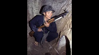 vietcong in bush ( discord meme)