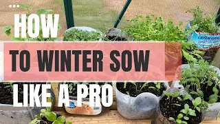 Winter Sowing Tutorial 🌱🌸 A Complete Beginners Guide