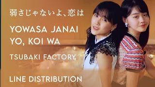 Tsubaki Factory / つばきファクトリー • Yowasa Janaiyo, Koi wa / 弱さじゃないよ、恋は (Line Distribution / 歌割り)