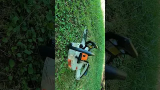 Stihl 009 Test Einhandsäge Start #motosäge #stihlms170  #stihl028  #stihlms250 #motorsäge