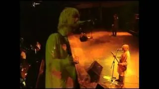 Nirvana Live at Reading (England) 1992 FULL CONCERT