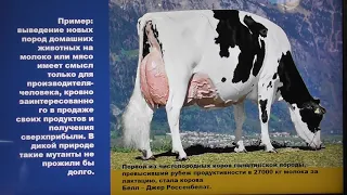 Инволюция и селекция Александр Белов 21 ноября 2020
