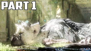The Last Guardian Gameplay And Walkthrough Part 1 | Intro And Beginning (Epic)