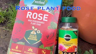 Rose plant food. NPK. What does it mean. Rose feeding. Healthy roses.