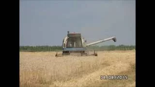 Mähdrescher Fortschritt E 512 bei der Ernte von Triticale