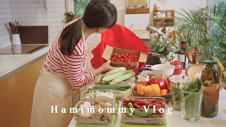 Vlogㅣ장보고 식재료 정리하는 9년차 주부의 살림 🛒ㅣ5가지 반찬으로 맛있는 집밥 만들기