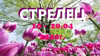 СТРЕЛЕЦ. 10 -20 апреля 2022н. Таро прогноз, гороскоп.