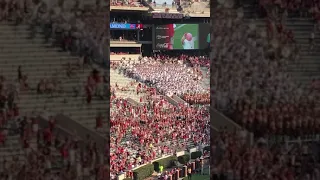 Basketcase- University of Alabama Million Dollar Band, UA vs. New Mexico State 9/7/19