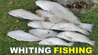 Surf Fishing Myrtle Beach for Whiting w/ BEST Bait (PB Whiting)