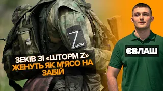 "М'ЯСНІ ШТУРМИ" зеків тривають. Суне ПВК "Ветерани". В@ГНЕРІВ НЕМАЄ. Ілля Євлаш