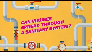 Can Viruses Spread Through A Sanitary System?