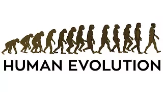 Human Evolution Animation.