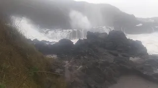 Spouting horn November 15th 2020 king tide Oregon Coast 2 all hats you got to watch this is the best