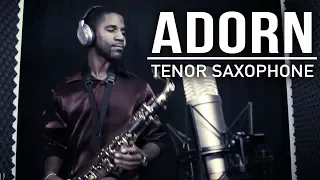Adorn - Miguel (Saxophone Cover)