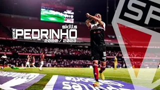 Pedrinho • PTE Goals Skills • 2022/2023 | HD |