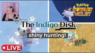 shiny hunting ✨ indigo disk DLC