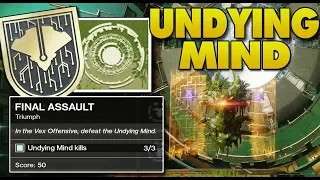 Final Assault How to Defeat Undying Mind! (Destiny 2 Season of the Undying)