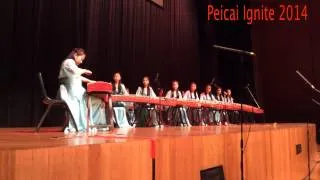 The Butterfly Lovers (PCSS Guzheng 2014)