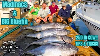 MADMACS = BIG Bluefin | Tips & Tricks to CATCH MORE Fish | WIDE OPEN West Coast Tuna Fishing