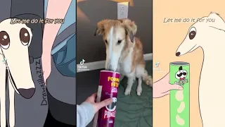 Didn’t I do it for you (Let me do it for you) kermie TikTok Meme Compilation | DopeTikTok