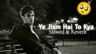 Ye Jism Hai Toh Kya | Jism 2| Ali Azmat | Slow & Reverb |sad song lofi new 2024 |very sad song LOFI|