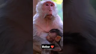 Mother's love towards His child Forever..❤️ || #Mother'slove