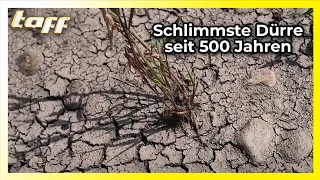 Hitze und Trockenheit machen Europa zu schaffen: Schlimmste Dürre seit 500 Jahren | taff | ProSieben