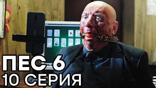 Сериал ПЕС 6 - 6 сезон - 10 серия - ВСЕ СЕРИИ смотреть онлайн | СЕРИАЛЫ ICTV