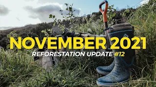 November 2021 | Reforestation Updates | One Tree Planted