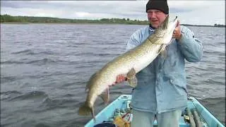 Pike Fishing Ireland on Lough Derg with Rick Zevering part2