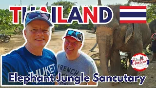Phuket Elephant Jungle Sanctuary in THAILAND How Ethical?