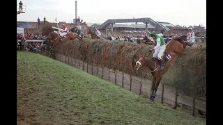 Horse Racing: 1981: Grand National