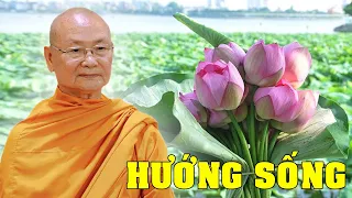 Có Bao Nhiêu HƯỚNG SỐNG? Nên Nghe Rất Thấm - HT Viên Minh Giảng | Phật Pháp Vấn Đáp