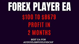 Forex Player EA Forex MT4 EA $100 To $8679 Profit In 2 Months | Best forex robots