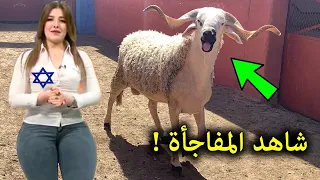 امراة يهوديه تستهزأ بعيد الأضحى أمام الالاف المسلمين .. انظر ماذا حدث لها معجزة كبيرة !! سبحان الله