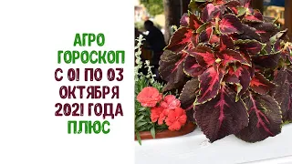 Агрогороскоп с 01 по 03 октября 2021 года ПЛЮС