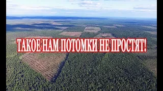 ВЫРУБКА ТАЙГИ. Такое нам потомки не простят!