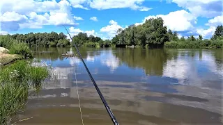 Ловля Щуки на Десні Влітку. Приманки на Щуку