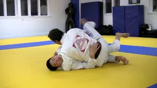 Brazilian Jiu-Jitsu: Pedro Sauer Half Guard Pass