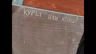 Выгоднее куры или козы