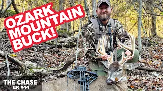 Arkansas Public Land Buck At 10 Yards!!