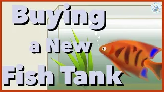 Buying a New Fish Tank | Aquariums Beginners Series | Episode 007