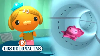 Los Octonautas - Un pepino de mar mocoso en fuga | Episodios Completos