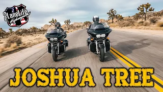 Riding Harleys to Joshua Tree National Park | 4k