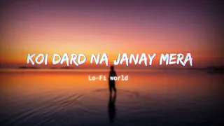 Koi Dard Na Janay Song (Slowed+Reverb+Lofi) | Sahir Ali Bagga | Hay Rabba | Lo-Fi world