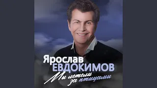 Белая вьюга